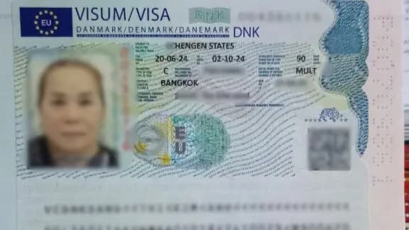 Kết quả Visa Đan Mạch do Visa Viettin hỗ trợ